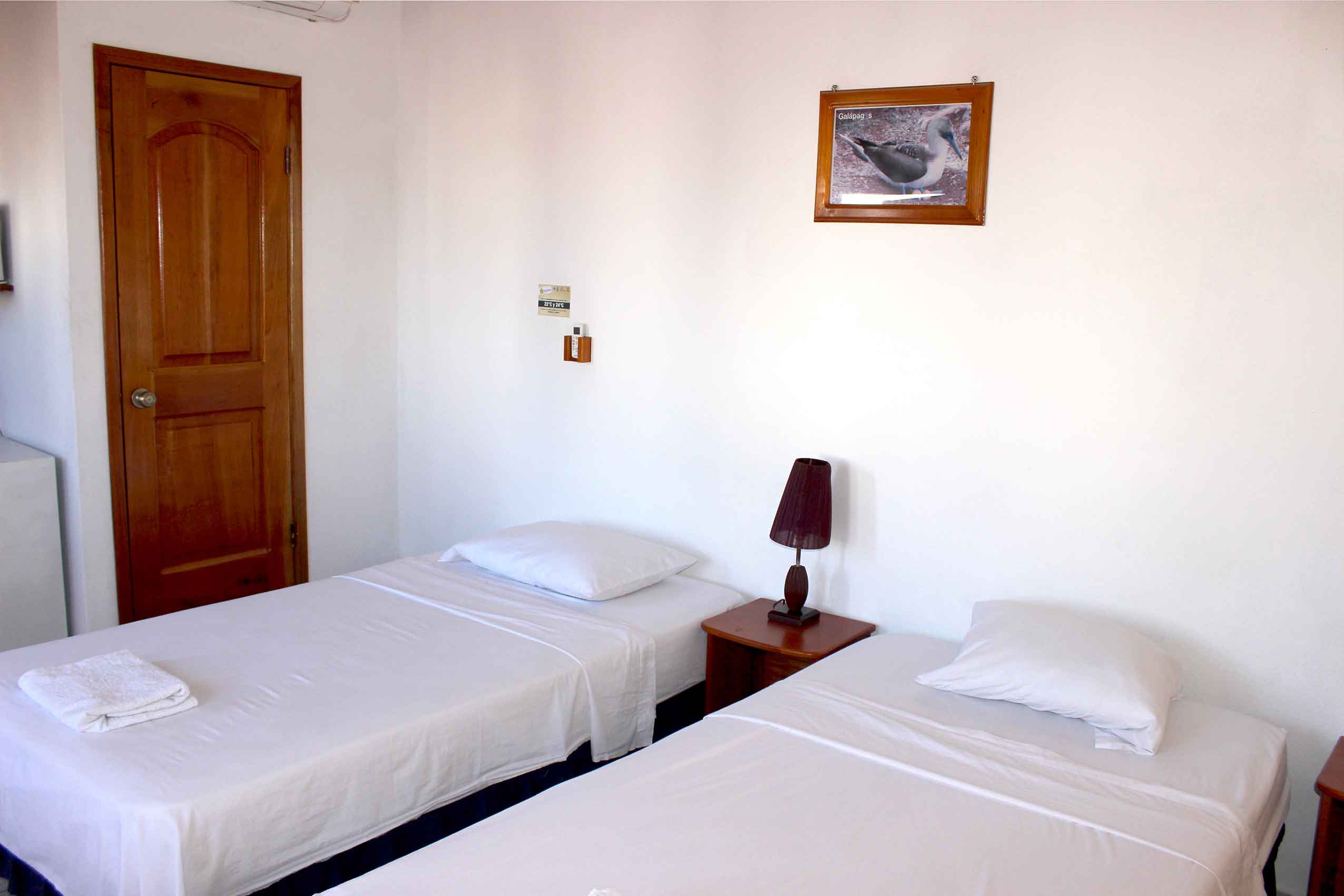 Galapagos Best Hostel