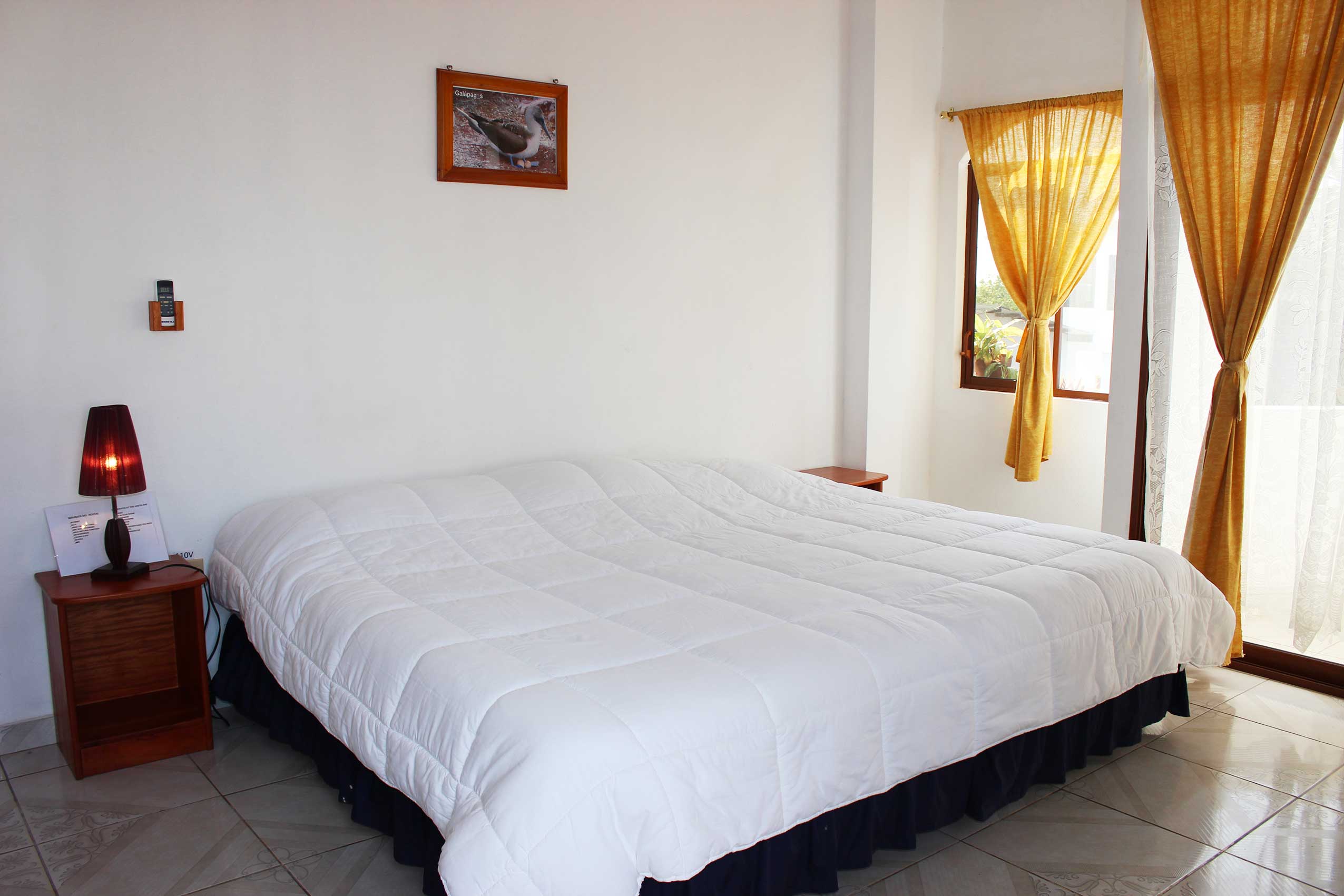 Galapagos Best Hostel